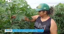 Vida no Campo mostra plantação de arroz, feijão e mandioca no interior do Piauí 20 04 2023